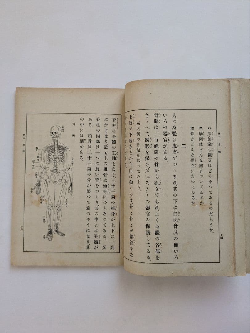 初等理科書 1〜3巻　朝鮮総督府　昭和6〜8年発行　戦前