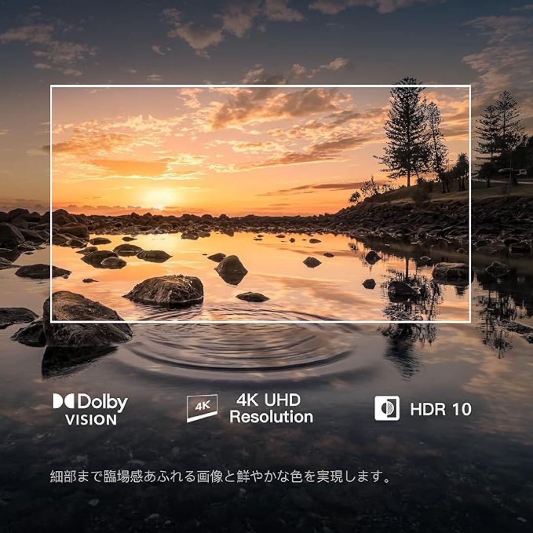 FPD チューナーレステレビ 43インチ 4K Google TV
