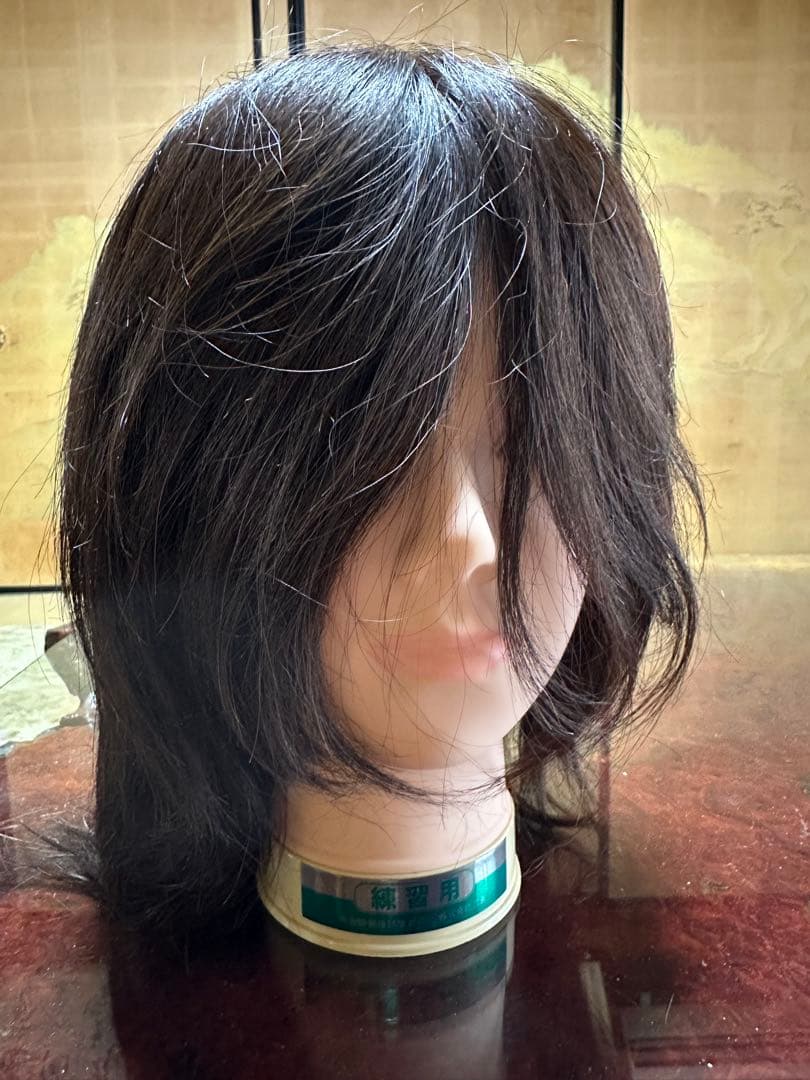 美容師国家試験練習用ウィッグ 株式会社三矢　東京チャーム　9体