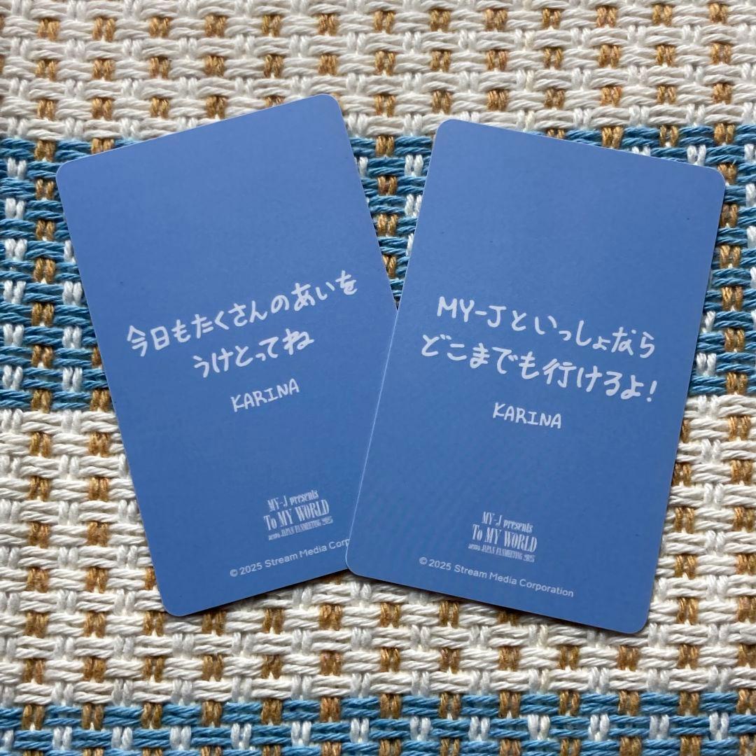 aespa 6000円特典 ペンミ ファンミ 東京ドーム トレカ カリナ 2枚