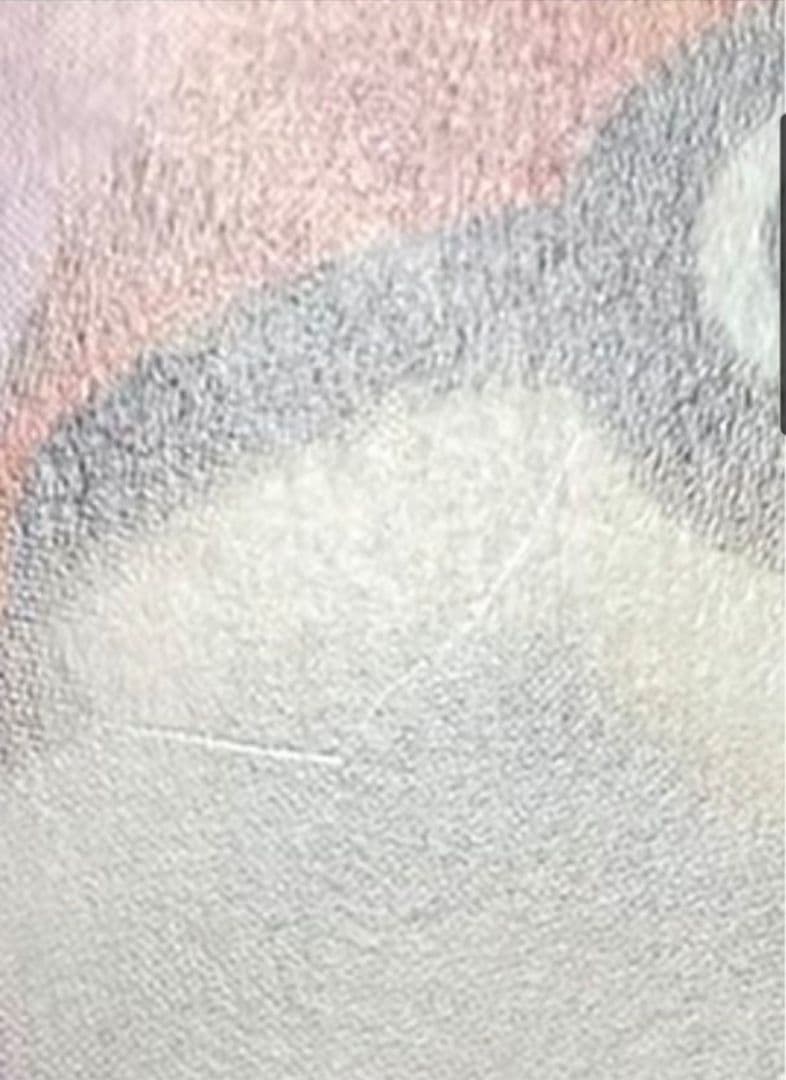 カメックスex sar