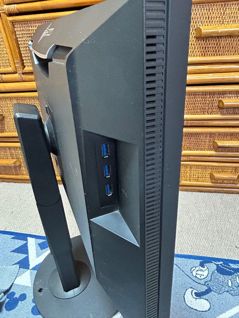 ディスプレイ・モニター本体 EIZO ColorEdge CG2420