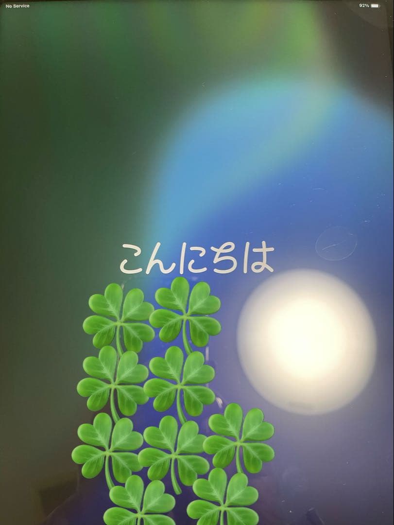 ⭐️iPad Pro 12.9 第五世代 Wi-Fi ＋Cellular128GB