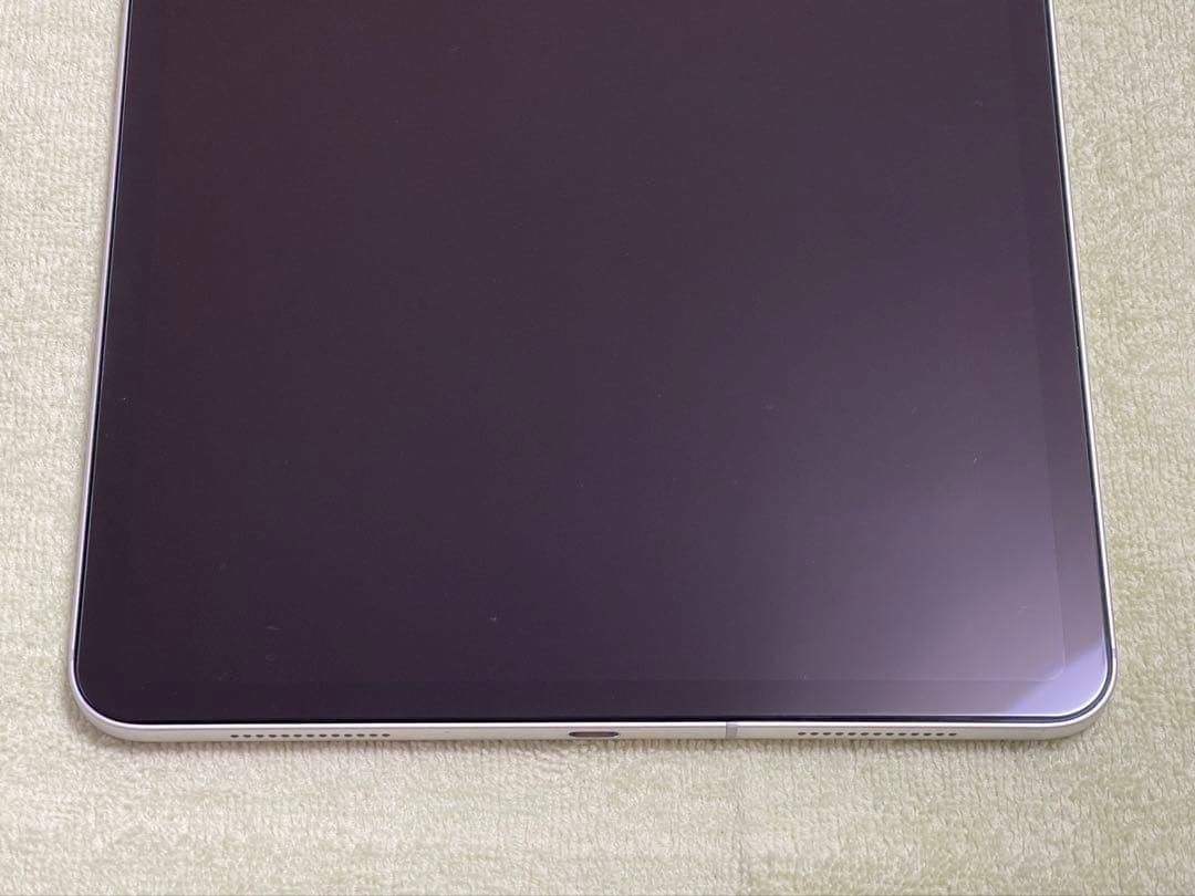 iPad Pro 11インチ(第1世代) 256GB セルラーモデル