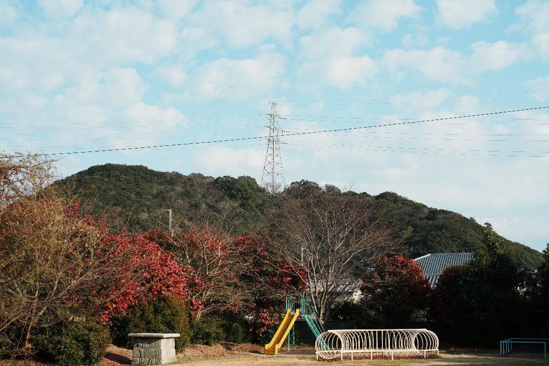 【整備＆テスト済】Nikon Ai-s Nikkor 50mm F1.2 673