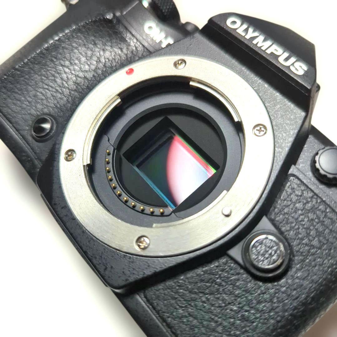 ♫　e-m5　markⅡ OLYMPUS OM-D 　ショット数9646枚