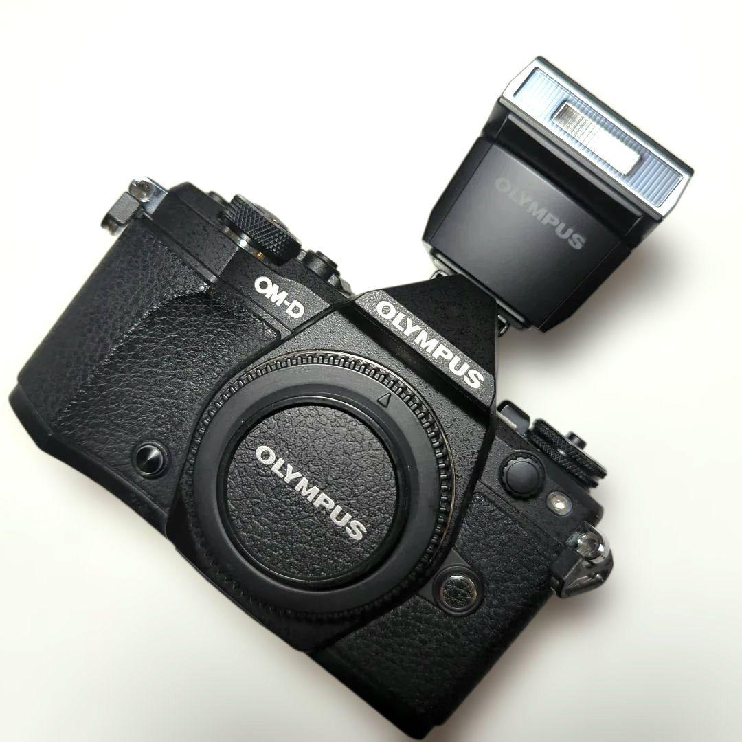 ♫　e-m5　markⅡ OLYMPUS OM-D 　ショット数9646枚