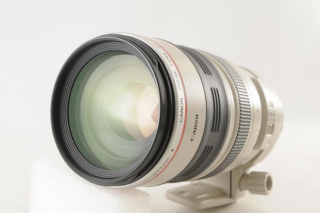 Canon キヤノン EF100-400mm F4.5-5.6L IS USM