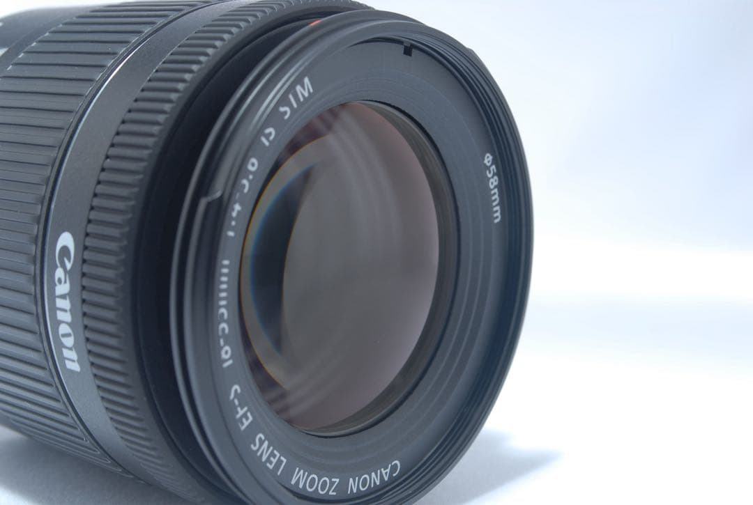 キャノン 手ブレ補正付き レンズ 18-55mm IS STM 初心者オススメ