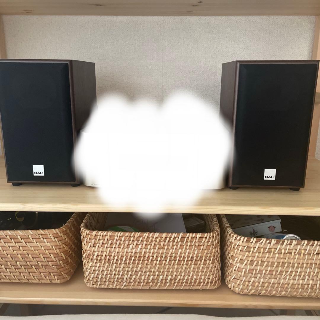 スピーカー・ウーファー Dali spektor 1