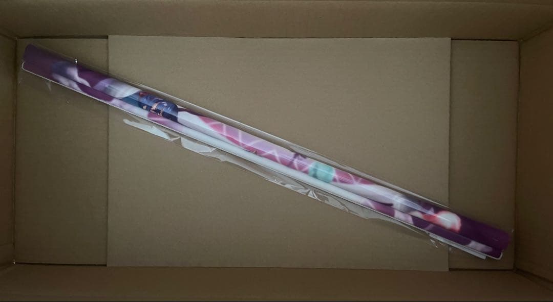 【有償特典】メロンブックス限定 B2タペストリー 武田弘光 アートワークス 珠