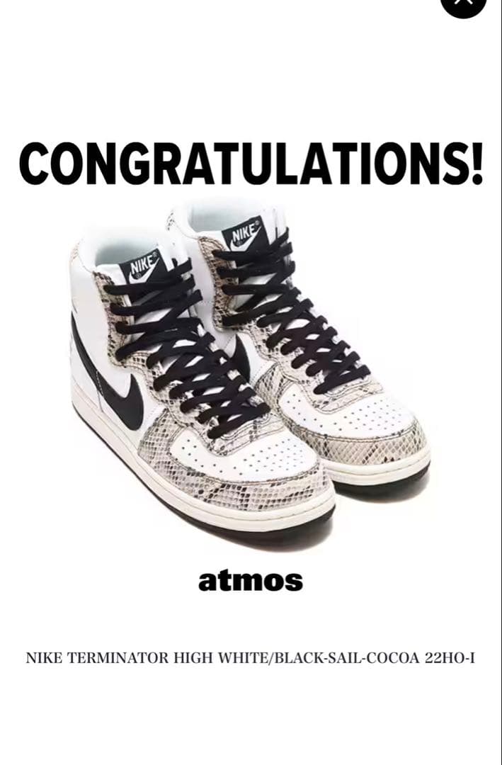Nike Terminator High \"Cocoa Snake\" 29㎝