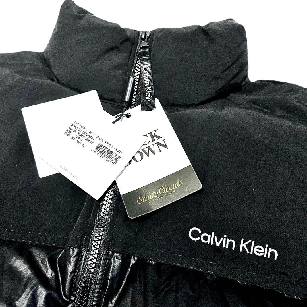 本日限定   W Short Down Jacket（L）