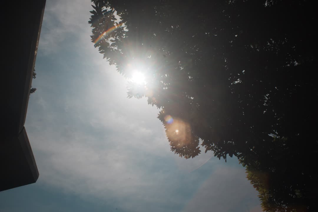 【美品】ペンタックス Super Takumar 24mm F3.5 575