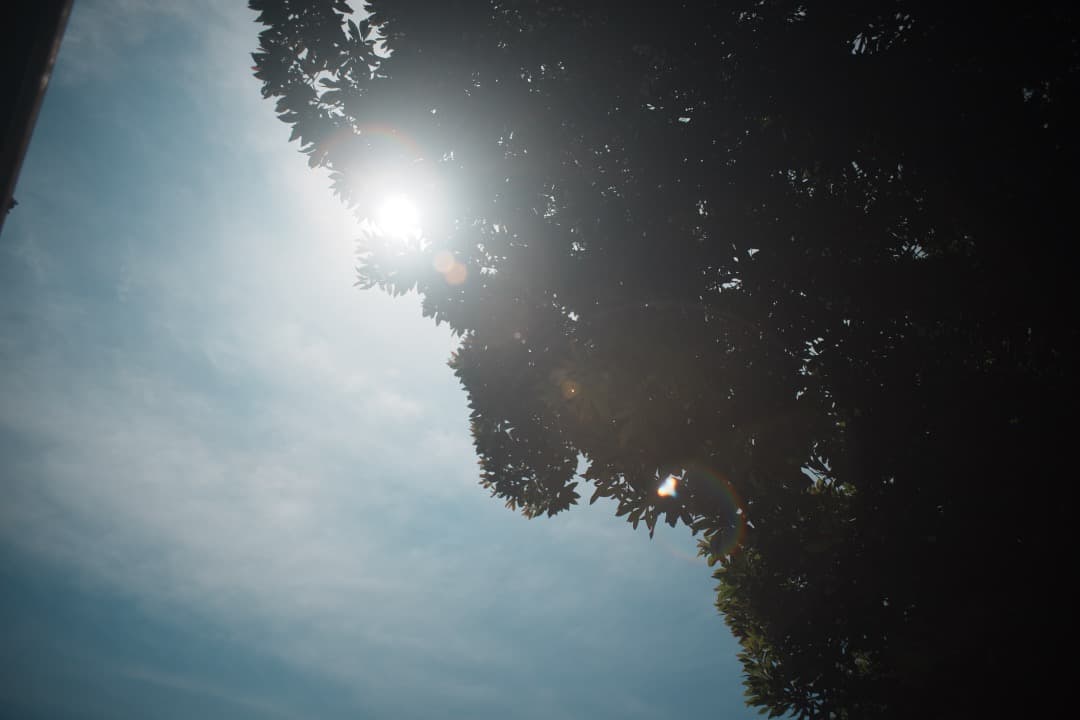 【美品】ペンタックス Super Takumar 24mm F3.5 575