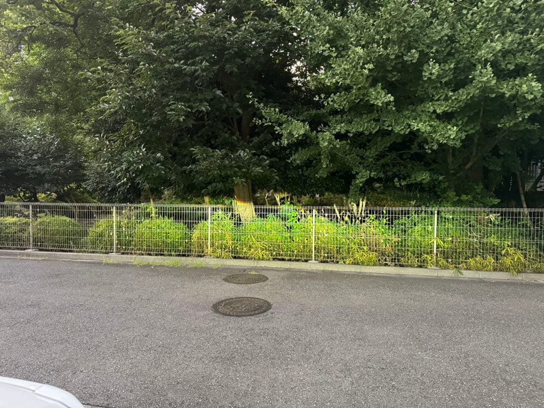 ハイラックス ヘッドライトレベライザー