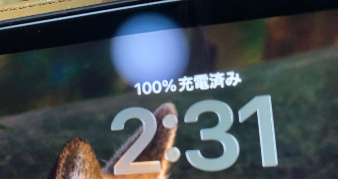 iPad mini 64GB 第5世代 100%充電OK Wi-Fi モデル