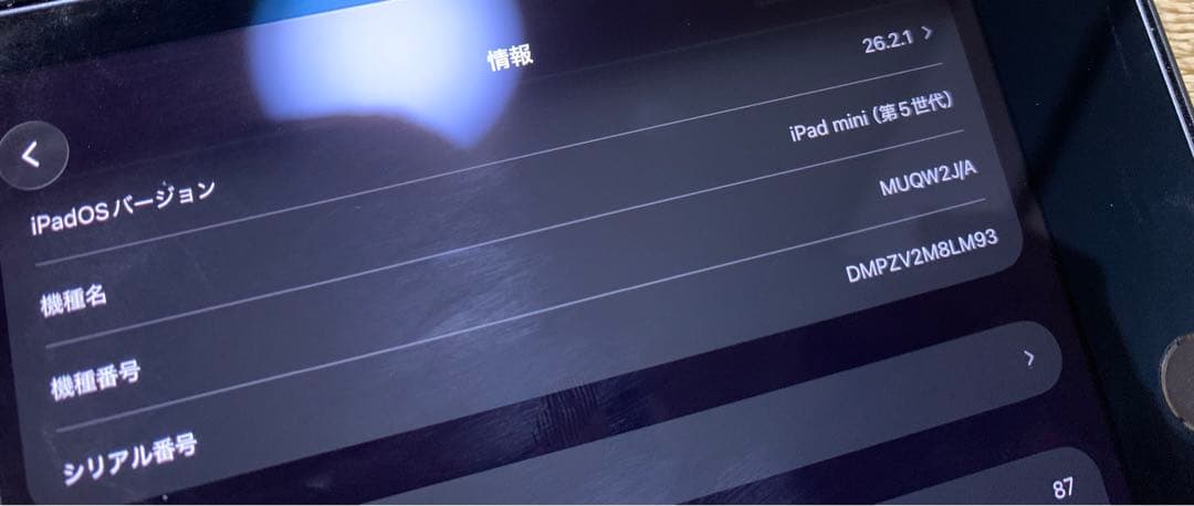 iPad mini 64GB 第5世代 100%充電OK Wi-Fi モデル