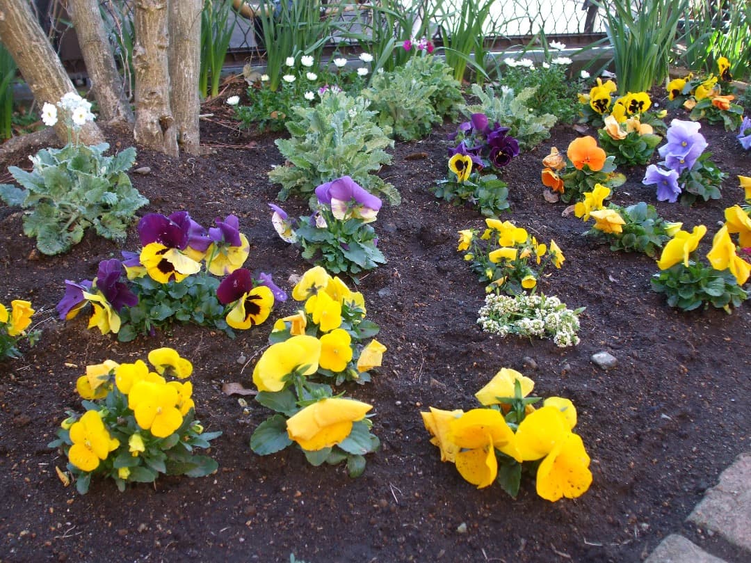 実写美⭕️【動作確認済み】FUJIFILM FinePix A900