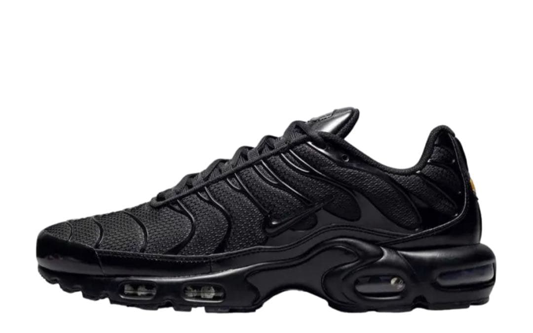 s*s様 30 Nike Air Max Plus \