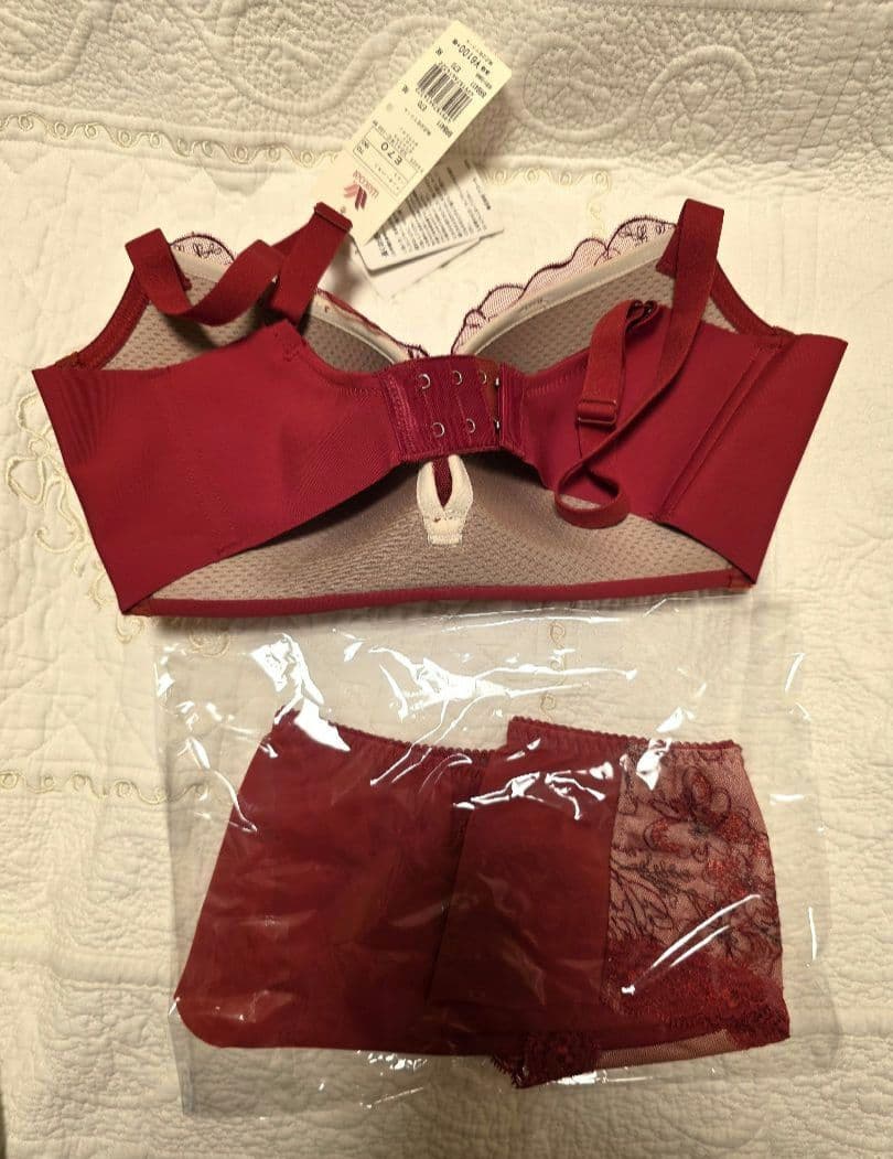 専用ですワコールスハダワン　ブラとパンツ赤と黒