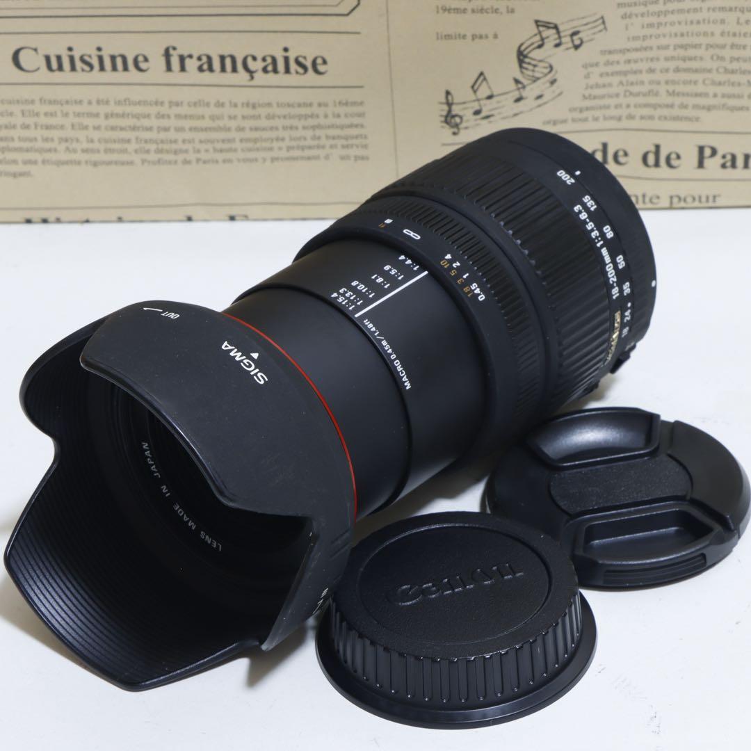 タロニャン⭐︎広角〜望遠☆Sigma 18-200mm for キャノン ☆