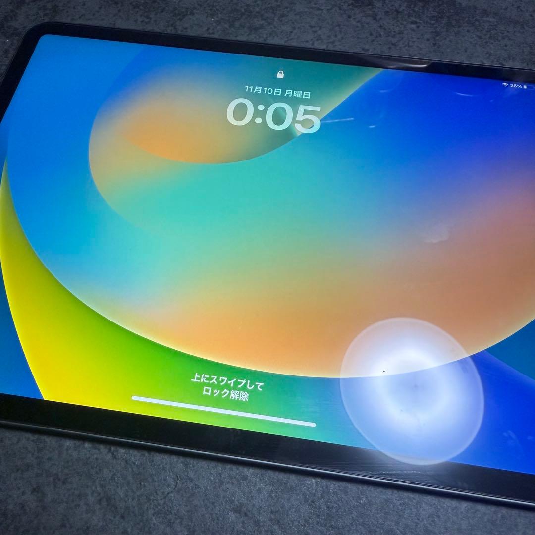 美品！ iPad Pro 11インチ 第一世代 64GB 本体のみ 第1世代