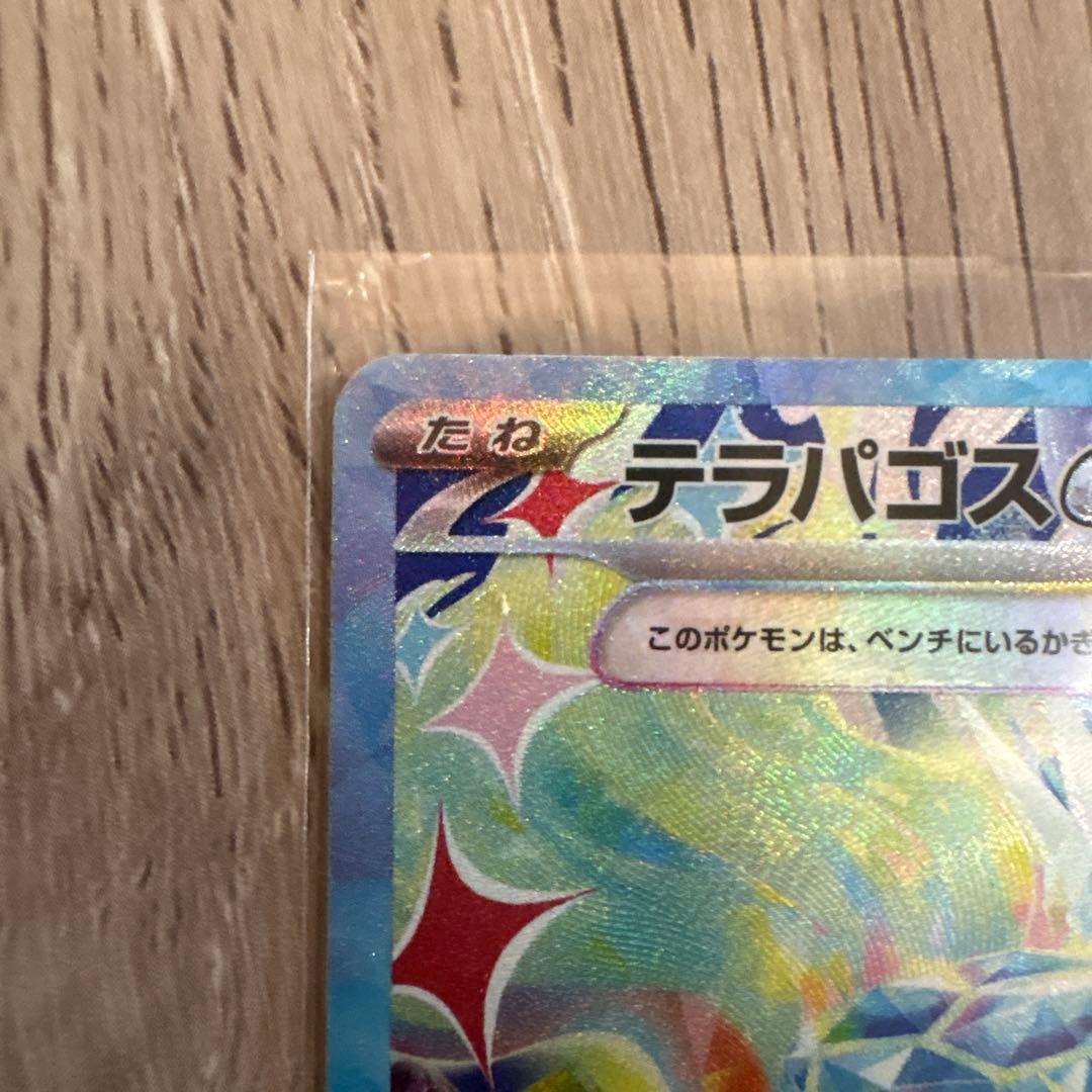 【美品】NのゾロアークSAR、テラパゴスSAR