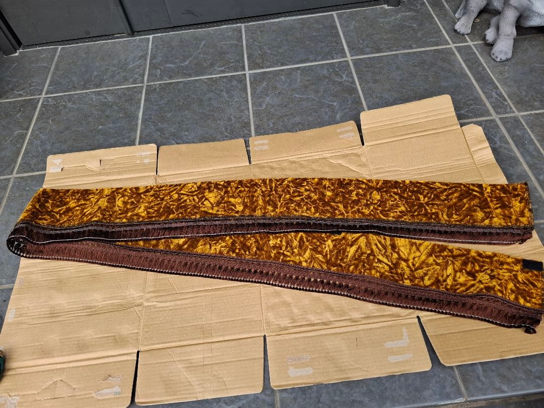 チンチラゴールド