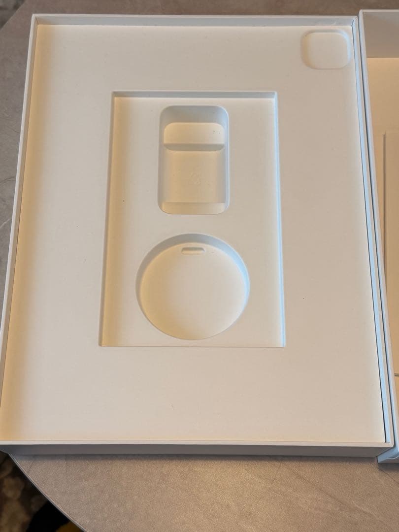 iPad本体 AppleiPadPro 256GB / 100%