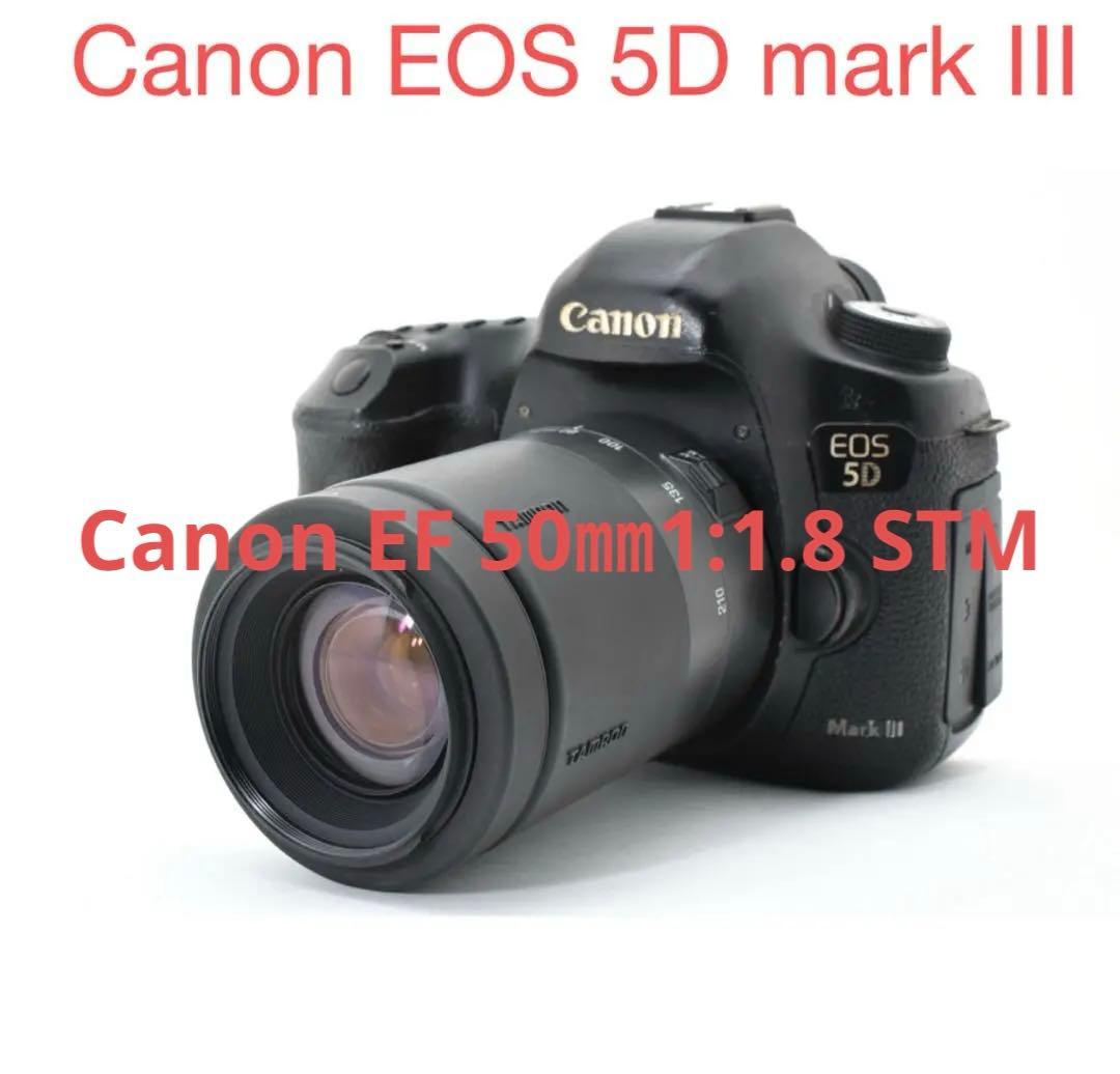 デジタル一眼レフカメラCanon EOS 5D mark III望遠レンズセット