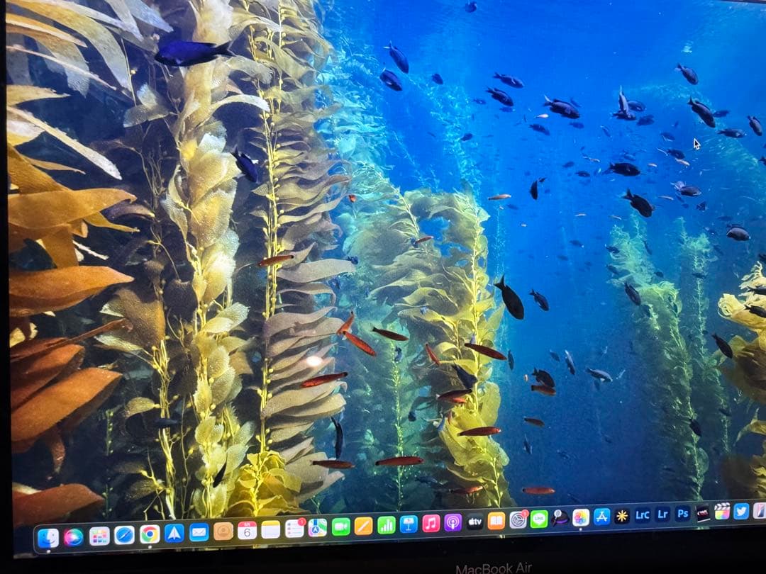 MacBook本体 mac book air m1 16g 500G