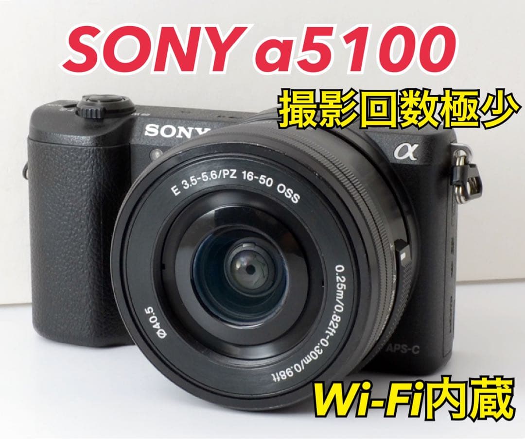 専用S数約2400回！SONY α5100★高性能ミラーレス★Wi-Fi内蔵