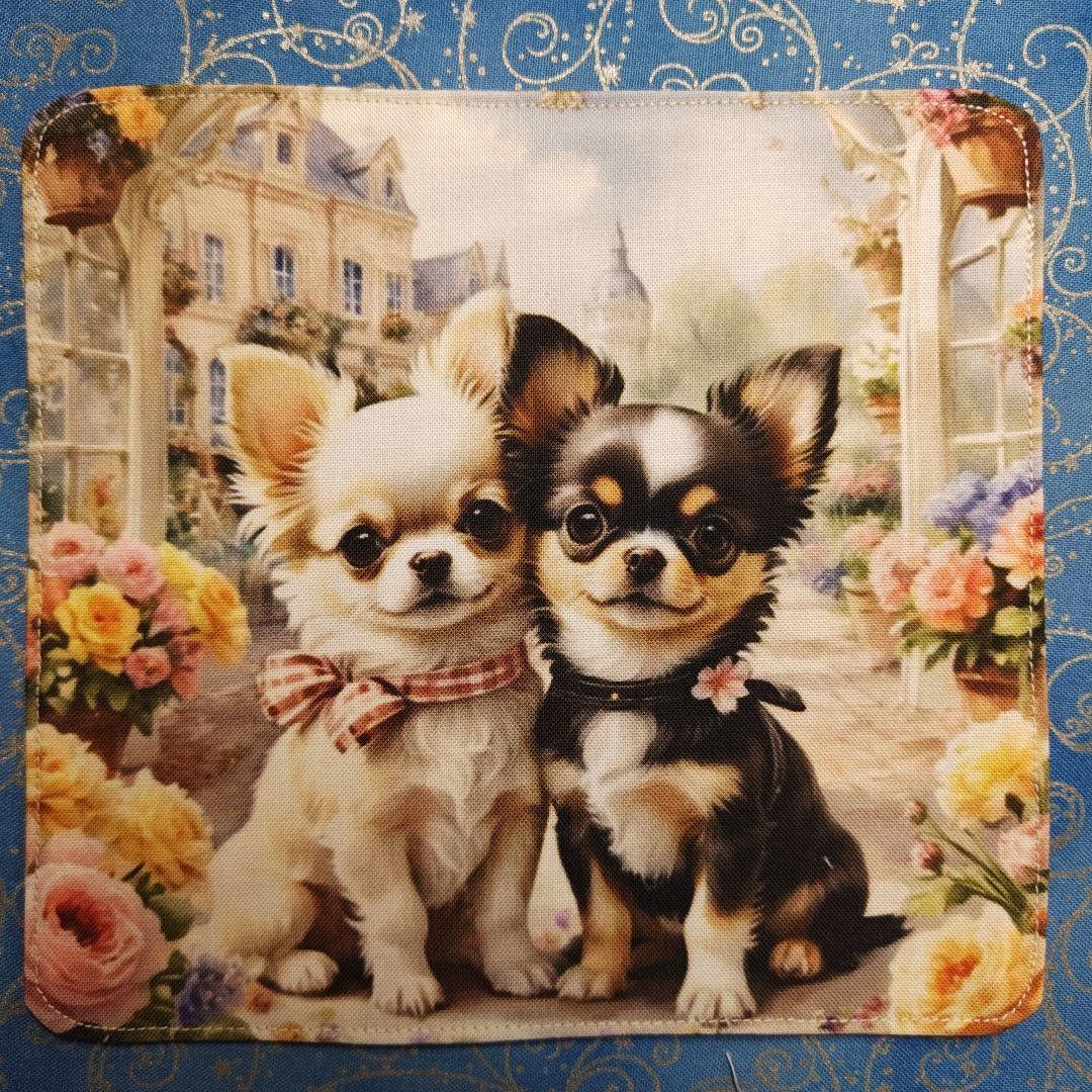 あしべ☆　ハンカチ＆パネル　チワワちゃん柄　17枚+14 枚