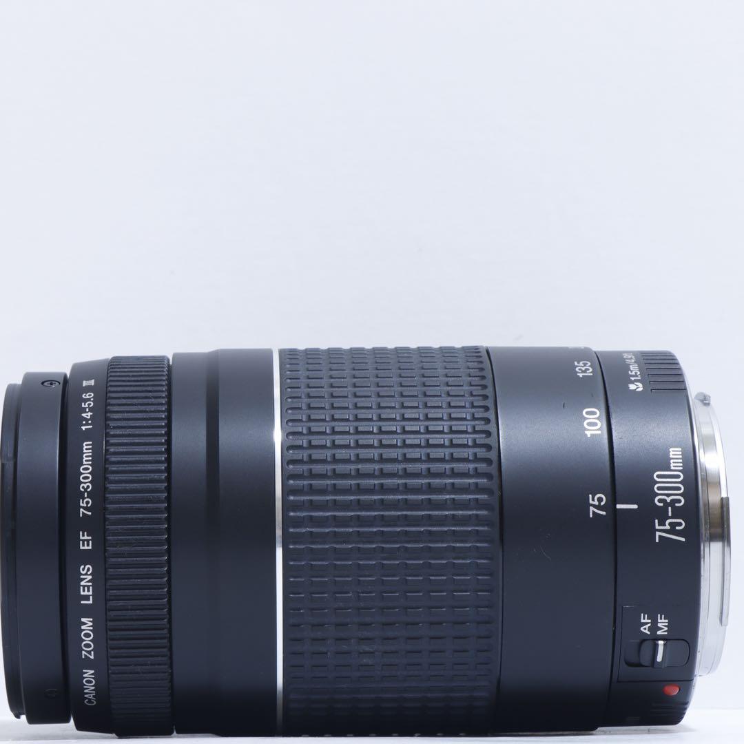 ◇大迫力超望遠!!◇Canon純正 75-300mm III型 超望遠レンズ◇