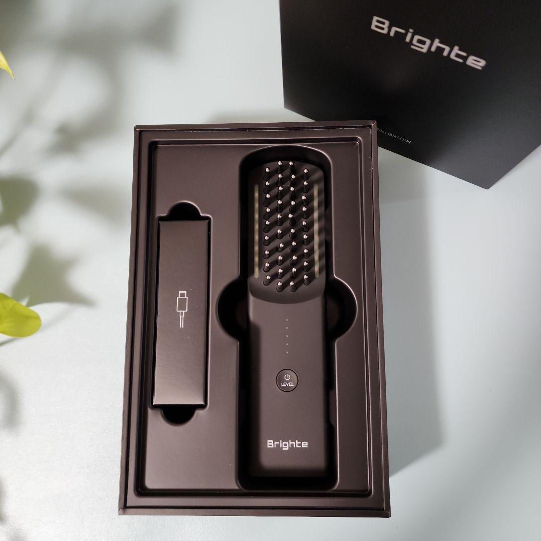美品 Brighte ELEKBRUSH ブライトエレキブラシ 美顔器