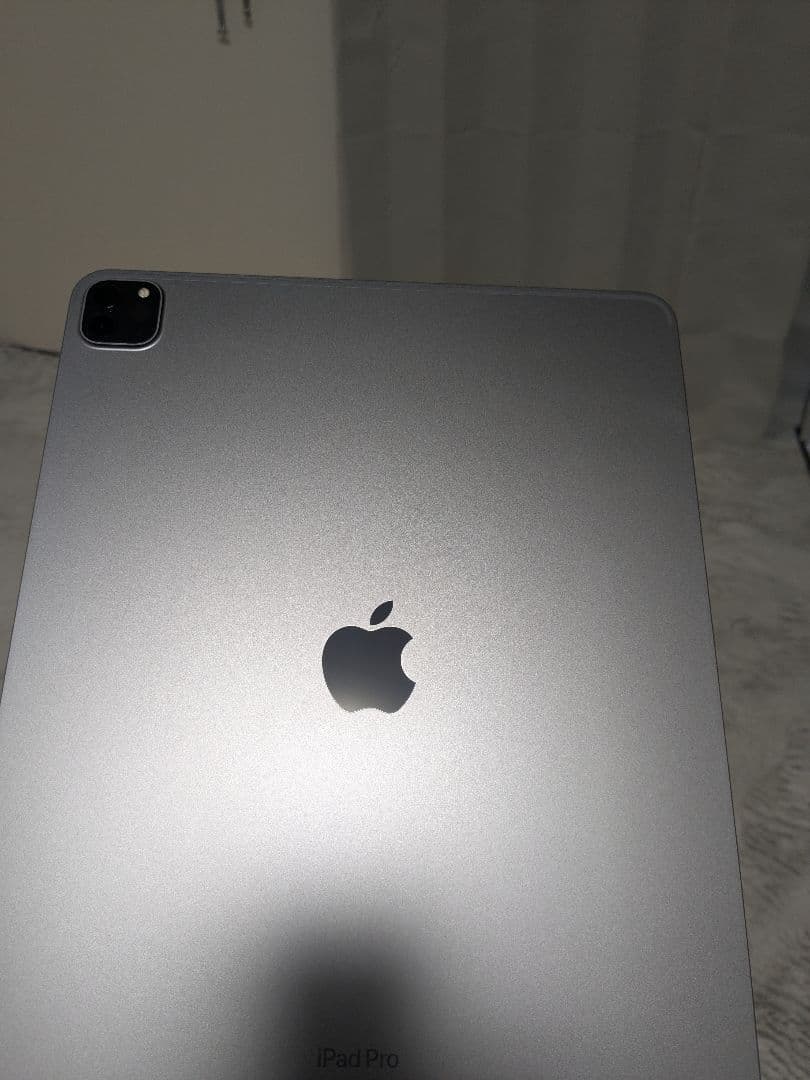 【専用】第6世代Apple iPad Pro12.9 256GB+ApplePe