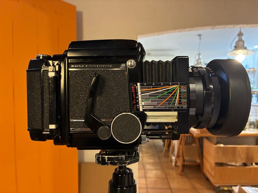 マミヤRB67 セコール127mm3.8 作例有り