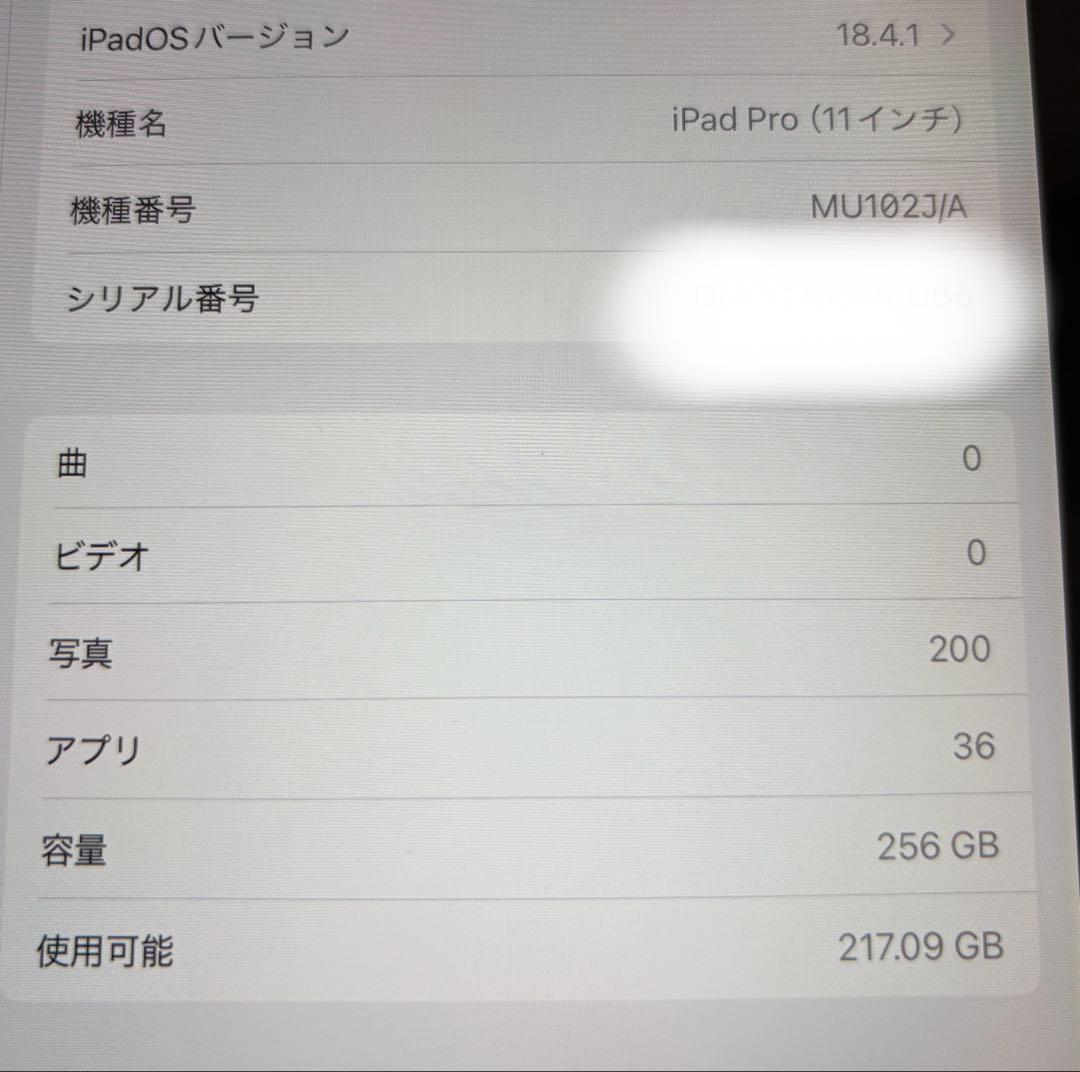 iPad Pro(11インチ) 256GB SIMフリー＋純正アクセサリー 美品