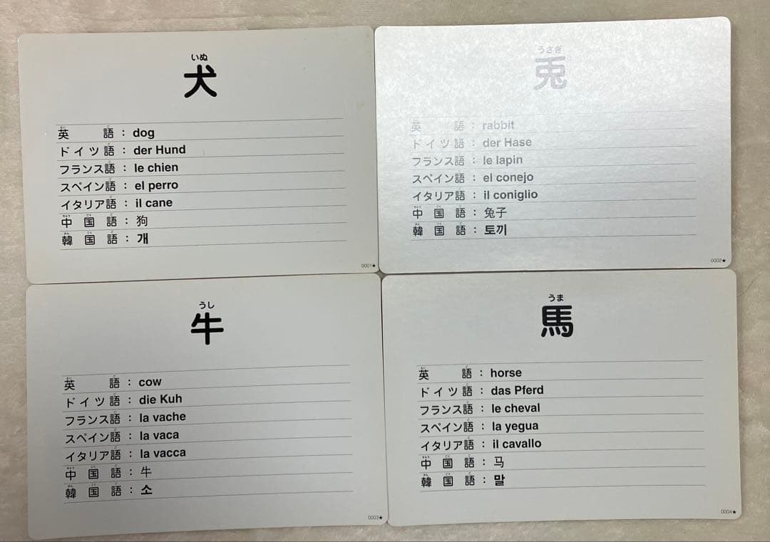 七田チャイルドアカデミー　かな絵ちゃん　単語と絵カード Aセット