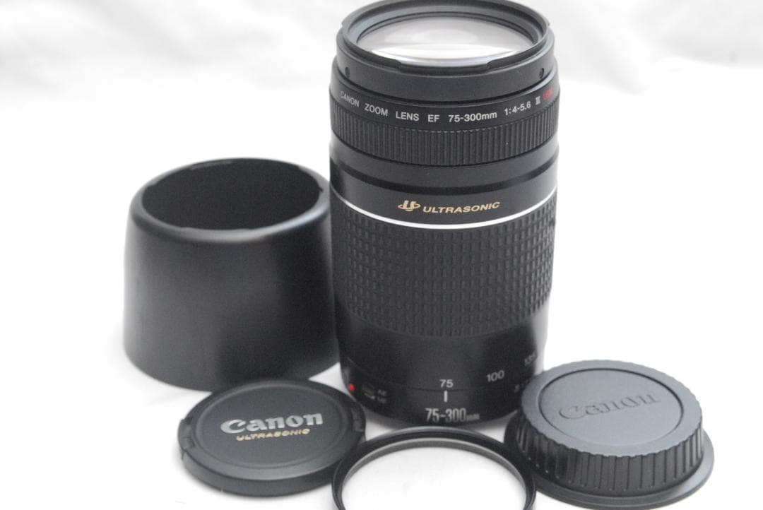 CANON ZOOM LENS EF 75-300mm 1:4-5.6 ⅢUSM