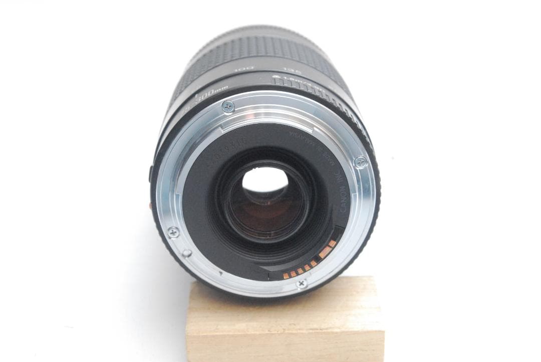 CANON ZOOM LENS EF 75-300mm 1:4-5.6 ⅢUSM