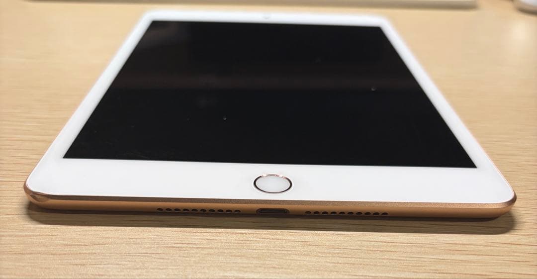 iPad mini 第5世代 Wi-Fi Cellular