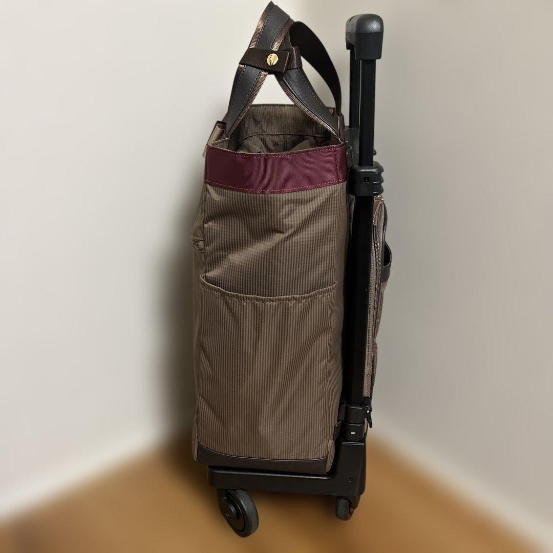 SWANYスワニー ルバンドL-21キャリーカート クレージュ 取扱説明書付き