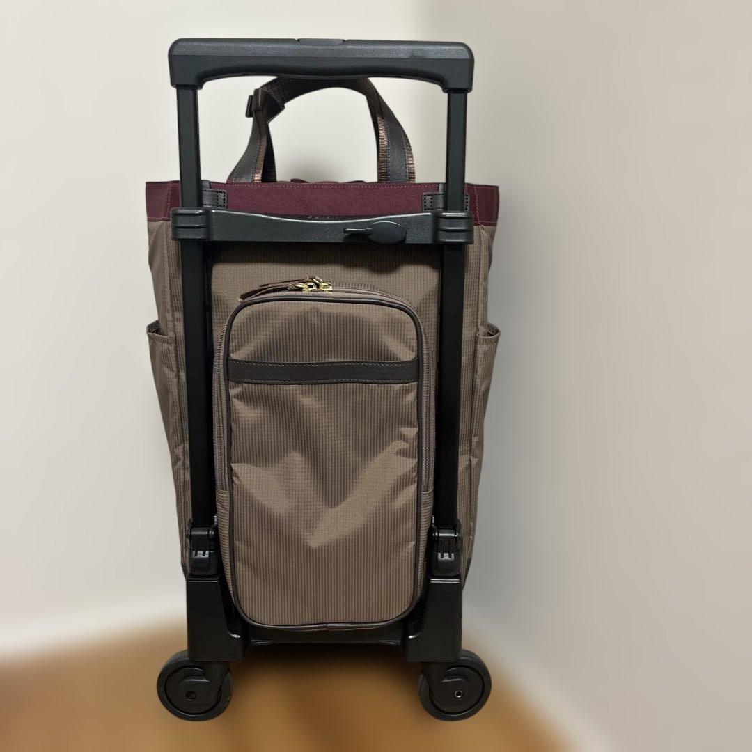 SWANYスワニー ルバンドL-21キャリーカート クレージュ 取扱説明書付き