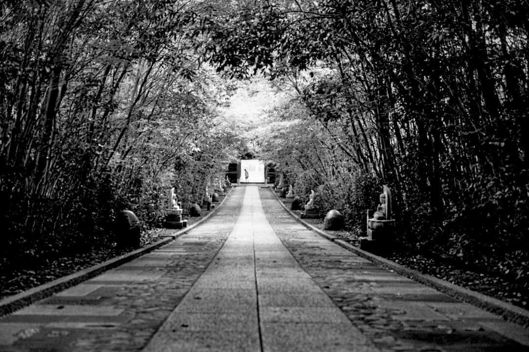 キヤノン　Canon AE-1 + FD 50 mm/F1.4 S.S.C.