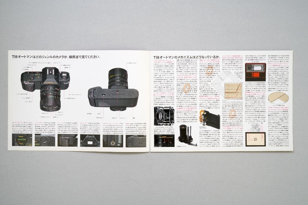 キヤノン　全自動一眼レフフイルムカメラ　T-50　オートマン　カタログ　A
