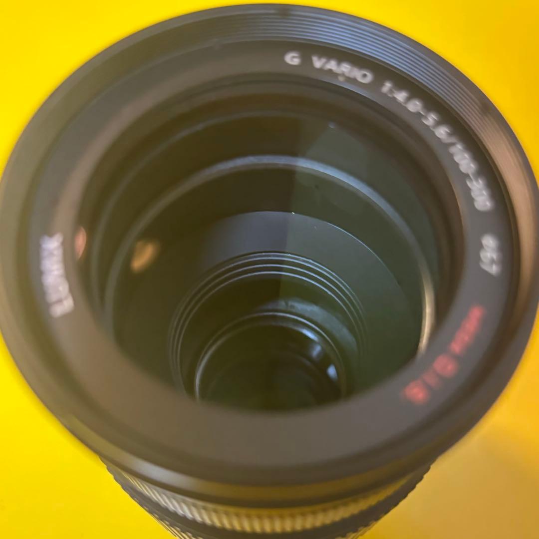 Panasonic LUMIX G VARIO 100-300mmF4-5.6Ⅱ