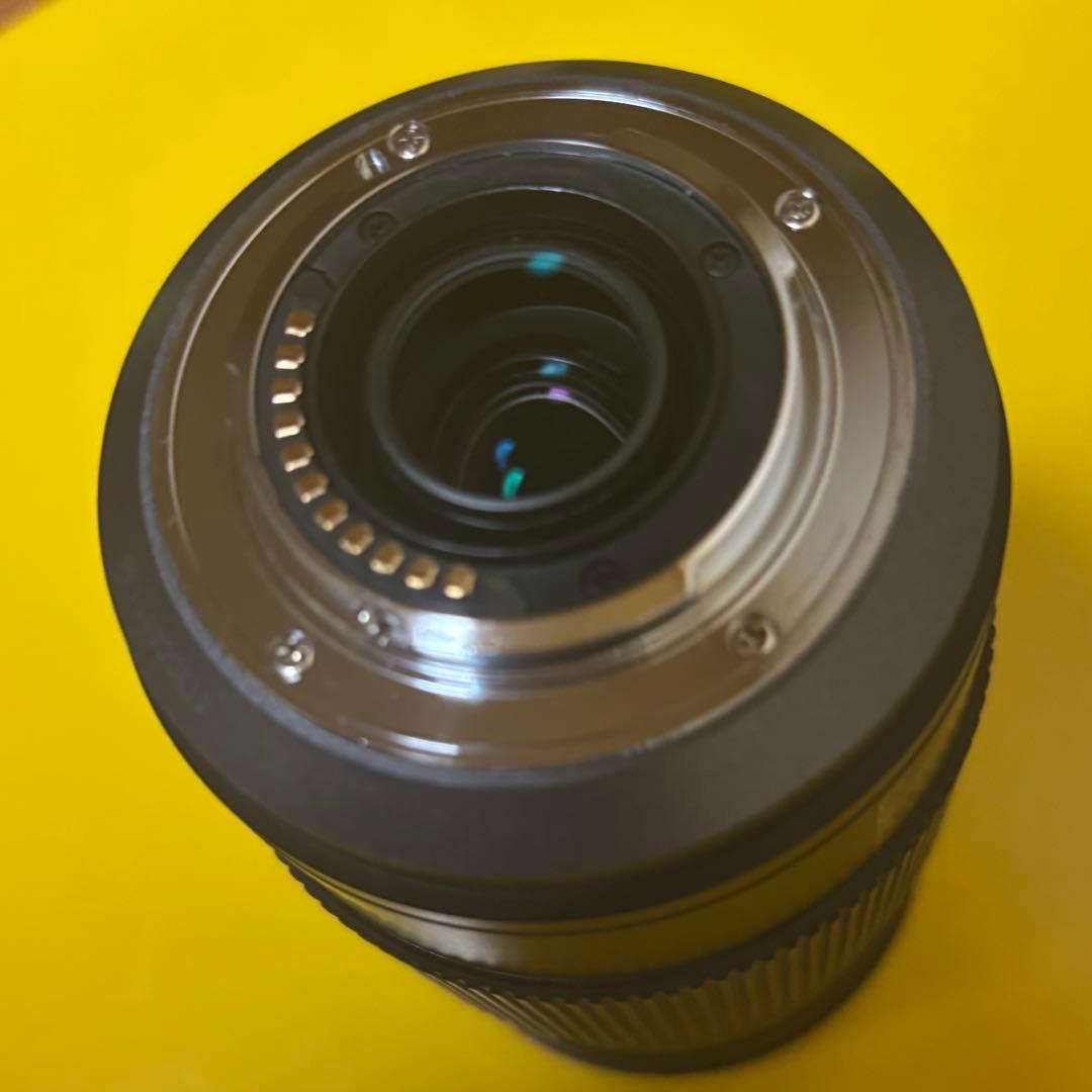 Panasonic LUMIX G VARIO 100-300mmF4-5.6Ⅱ