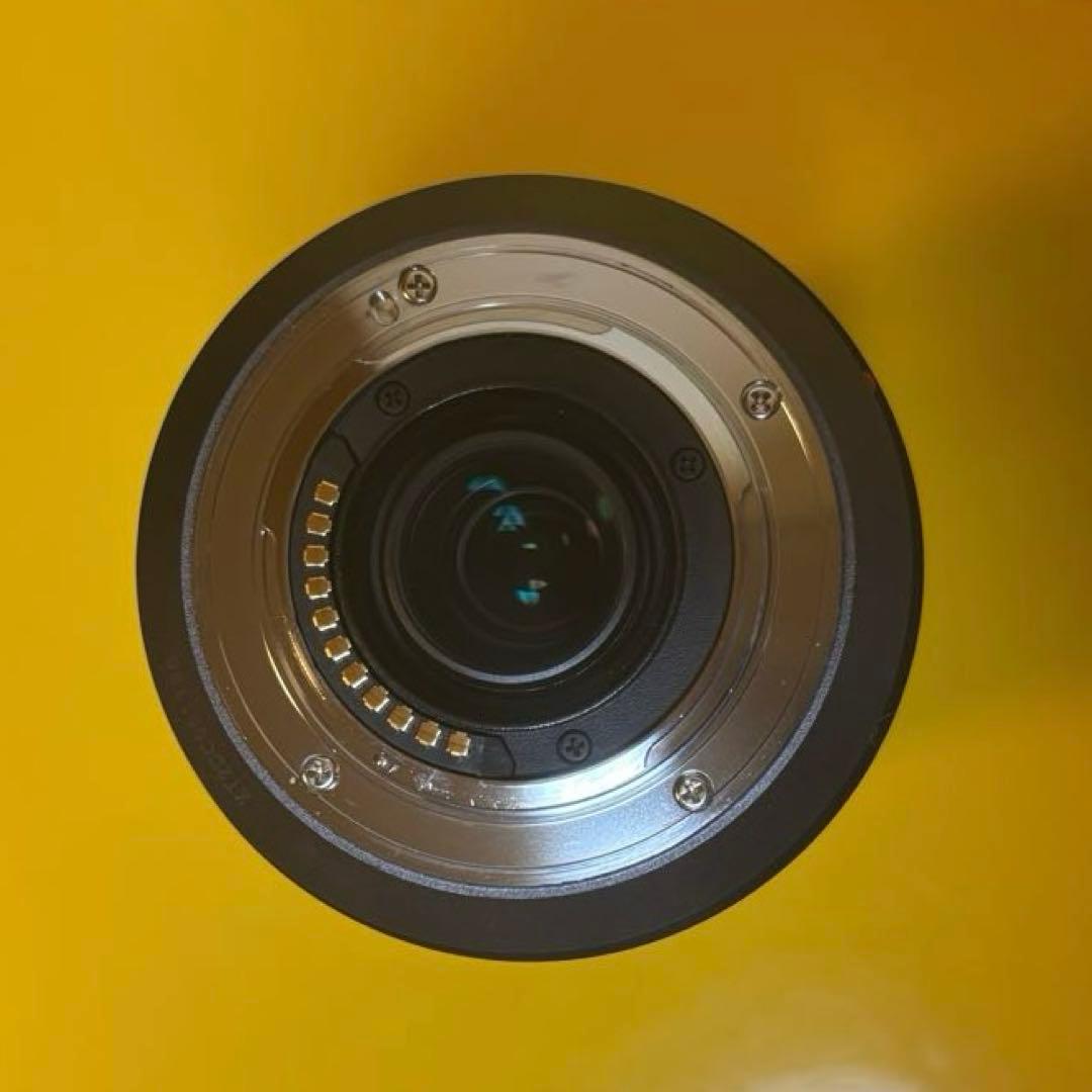 Panasonic LUMIX G VARIO 100-300mmF4-5.6Ⅱ